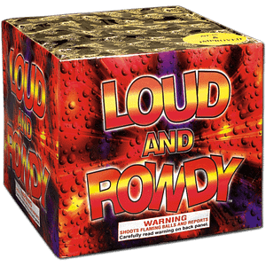 Loud and Rowdy 500g Fireworks Cake
