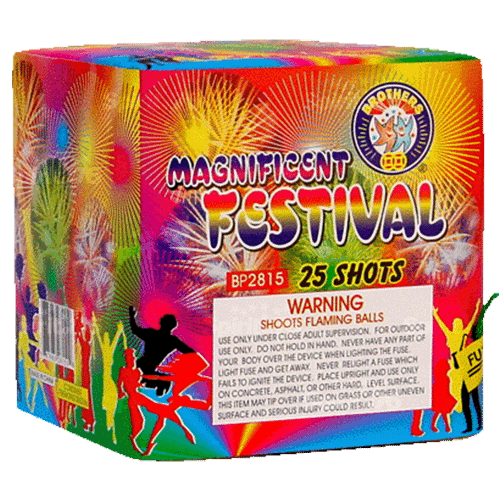 Magnificent Festival Fireworks